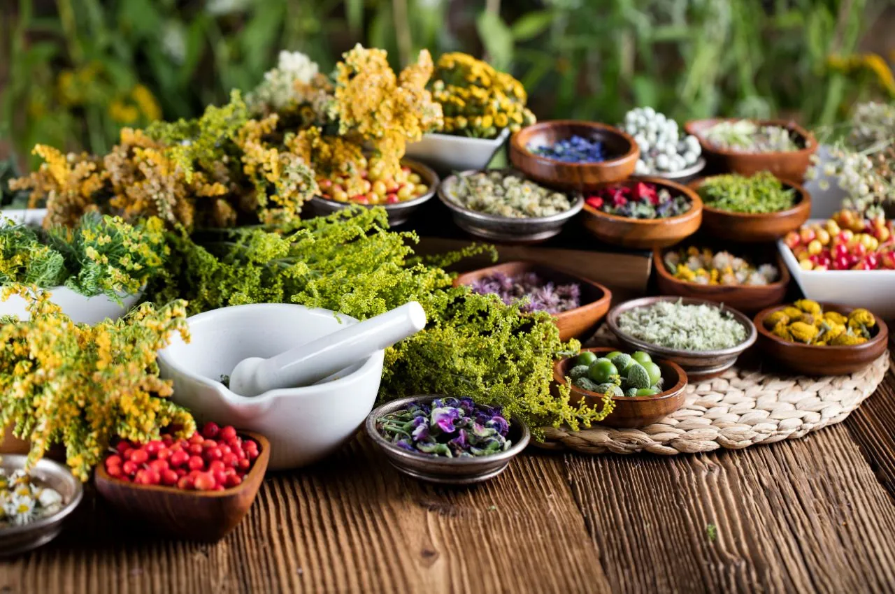 Medicina natural y tradicional: ¿pueden complementarse en la práctica médica?
